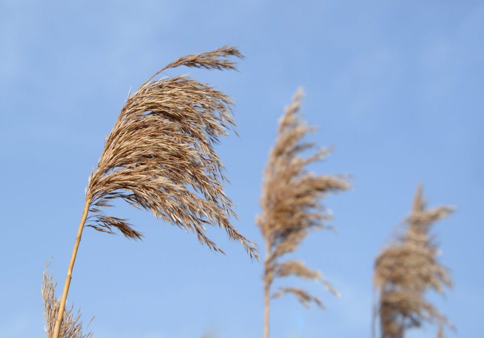 background-blue-sky-bright-1019349